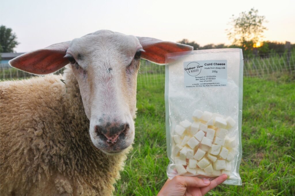 Sheep next to a bag of curd cheese